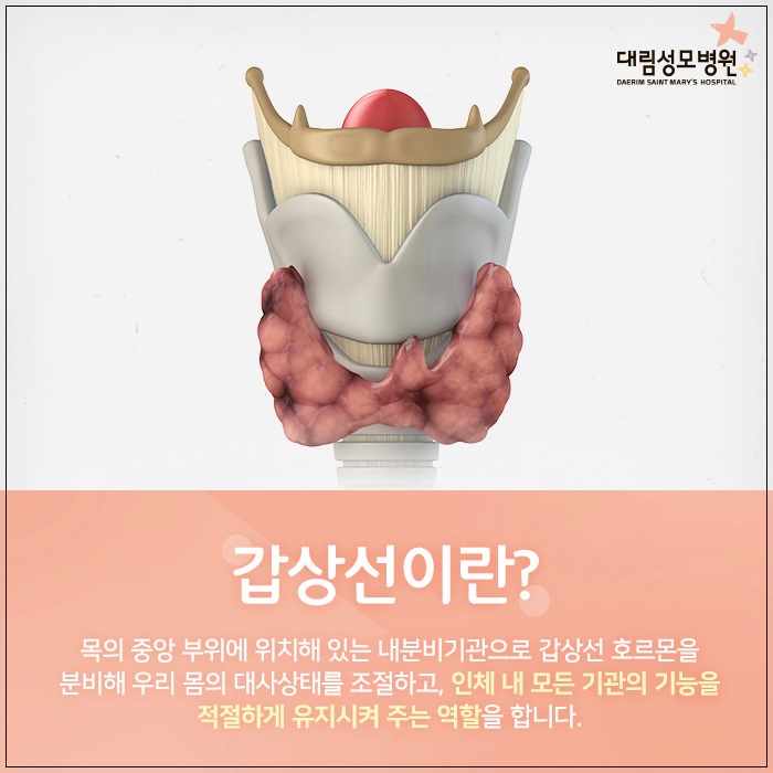 [갑상선센터] 갑상선암 증상과 수술 2.jpg