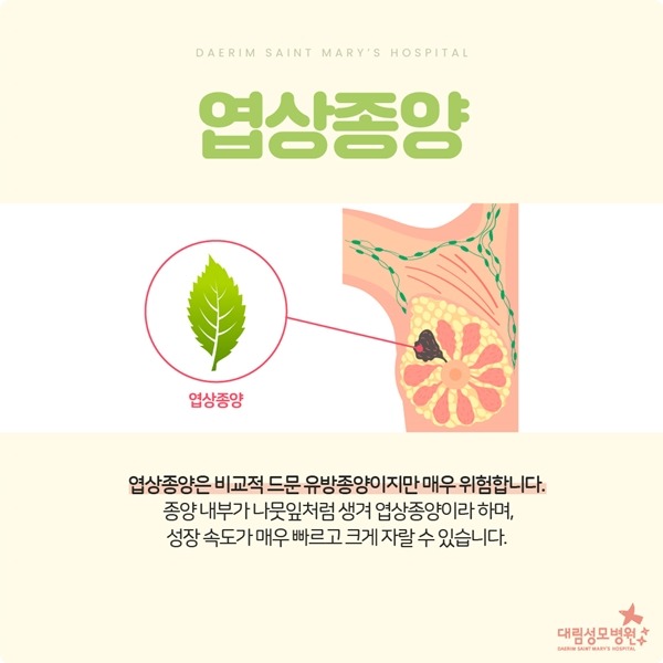 240722_대림성모병원_바이럴_유방종양-04.jpg