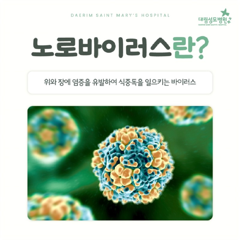 241218_대림성모병원_바이럴_노로바이러스_(3).jpg