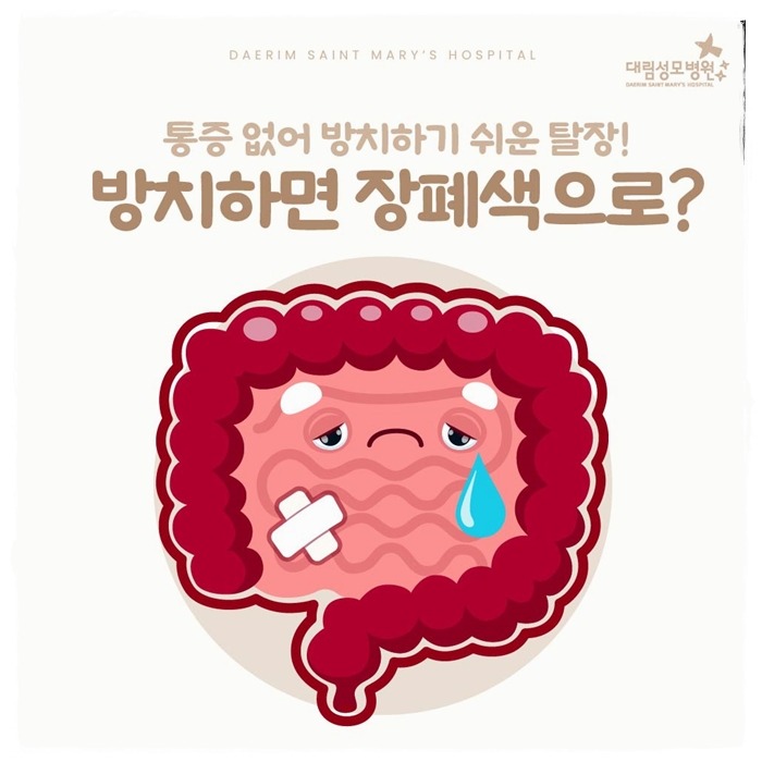 250117_대림성모병원_바이럴_탈장질환_(1).jpg