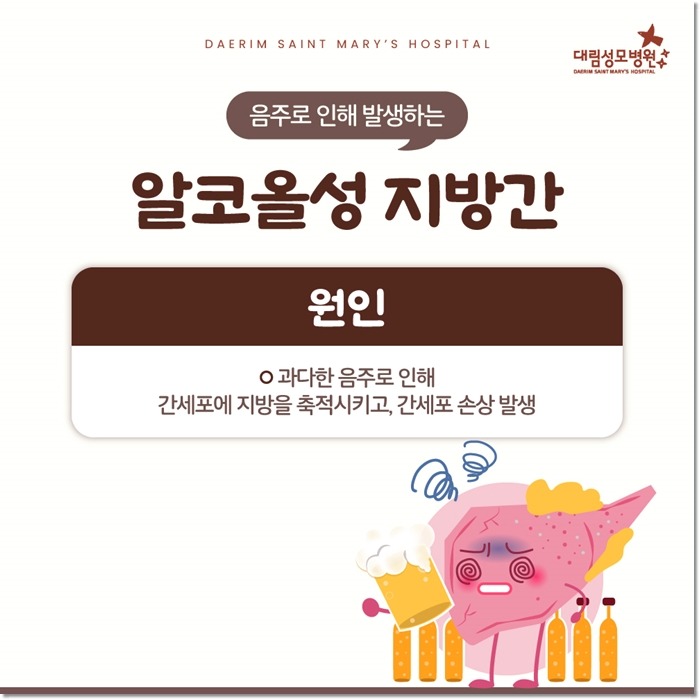250225_대림성모병원_바이럴_지방간_(3).jpg