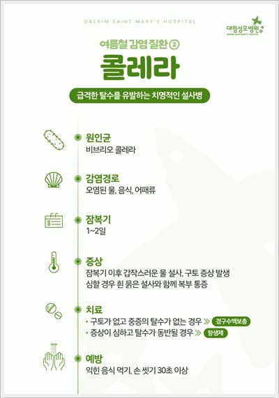 250610_대림성모병원_바이럴_여름철감염질환_(3).jpg