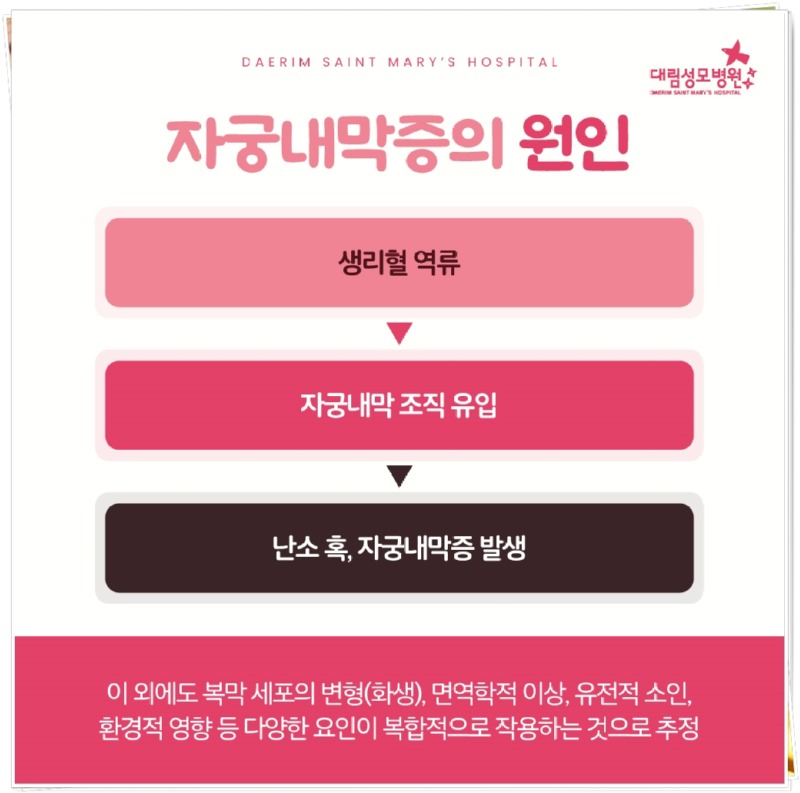 250730_대림성모병원_바이럴_자궁내막증_(5).jpg
