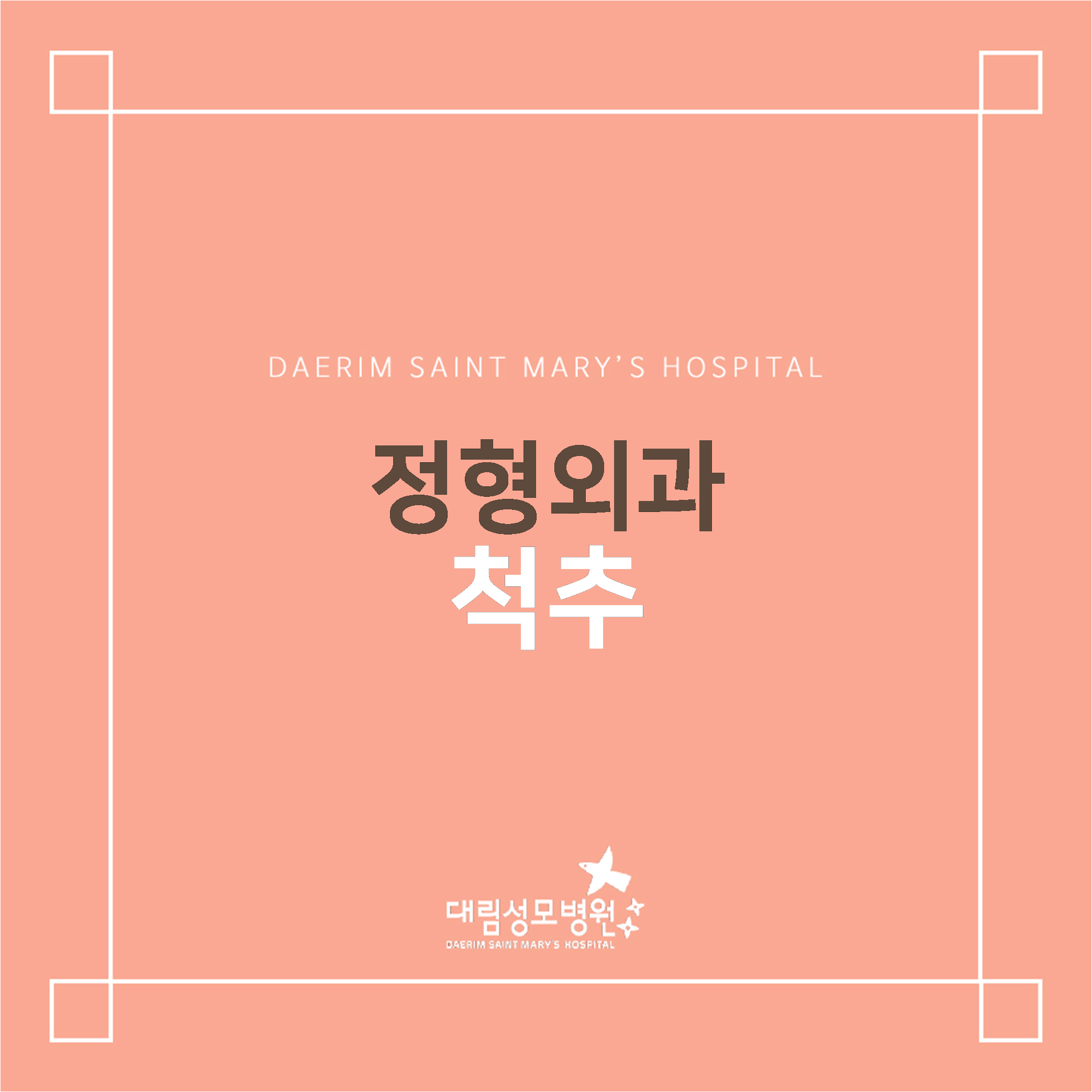 [정형외과] 척추  