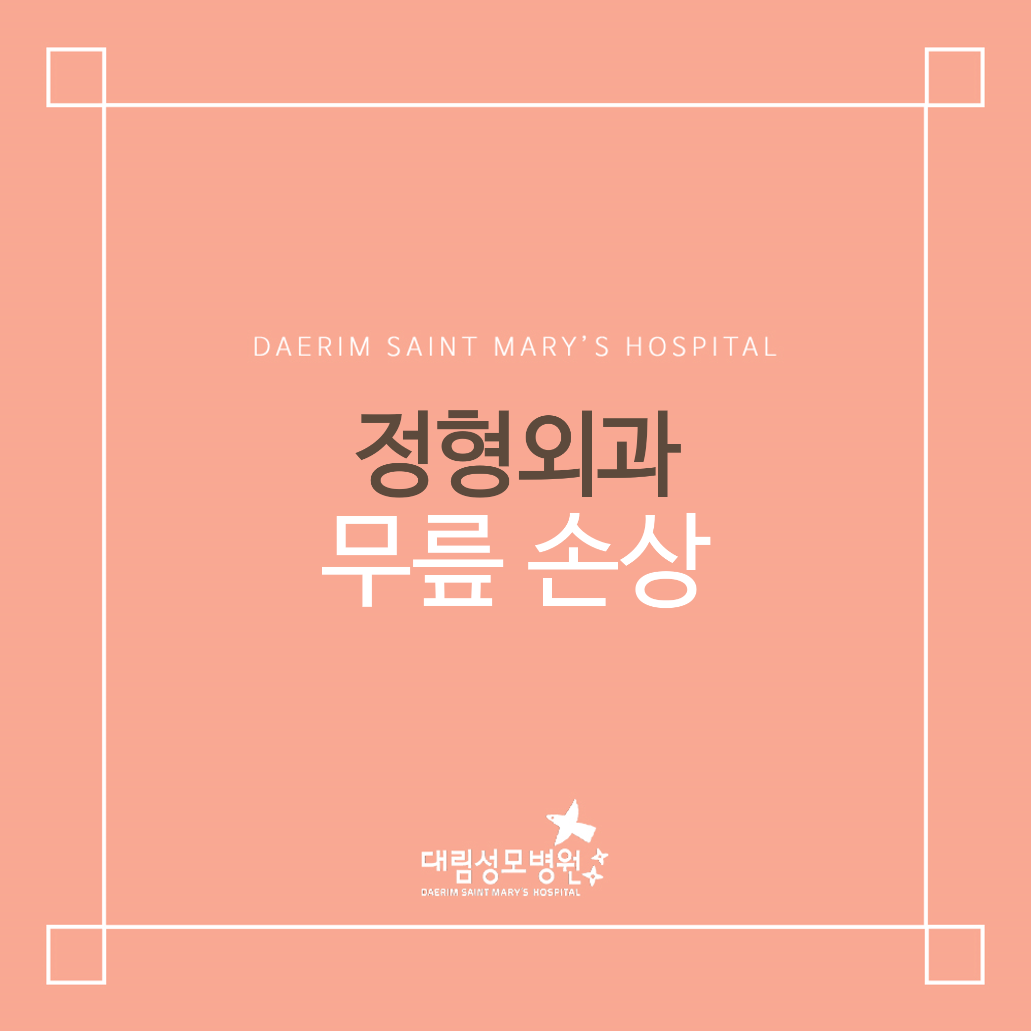 [정형외과] 무릎 손상  