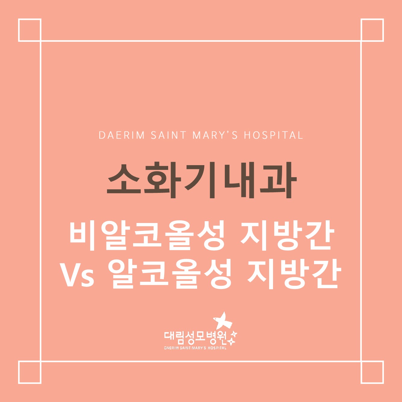 [소화기내과] 비알코올성 지방간 vs알코올성 지방간  